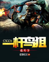 CSGO：一杆鸟狙走天下