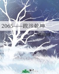 2065——跋涉乾坤