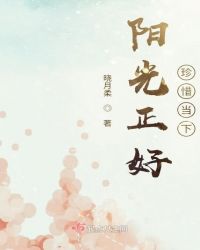 阳光正好，珍惜当下 作者：晓月柔