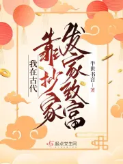 我在古代靠抄家发家致富 作者：半世书音