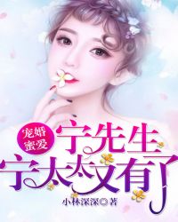 宠婚蜜爱：宁先生，宁太太又有了 作者：小林深深